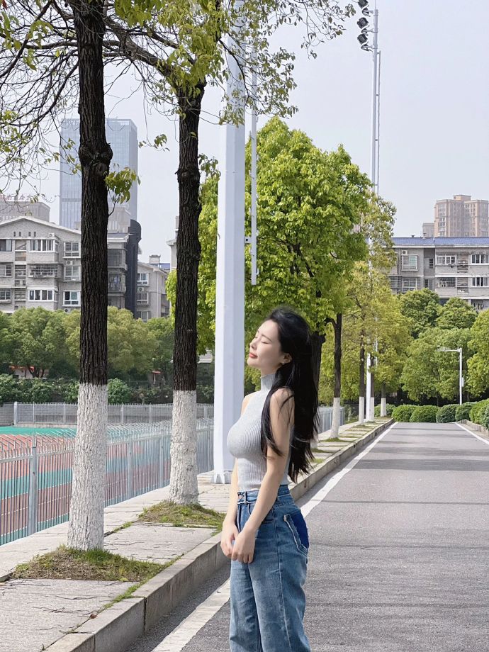 甄嬛传 封面